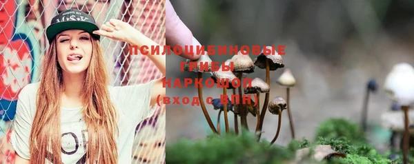 первитин Алексин