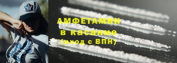 индика Пересвет